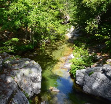 A peaceful river flowing through lush greenery and rocks in Aullène, Corse, France.