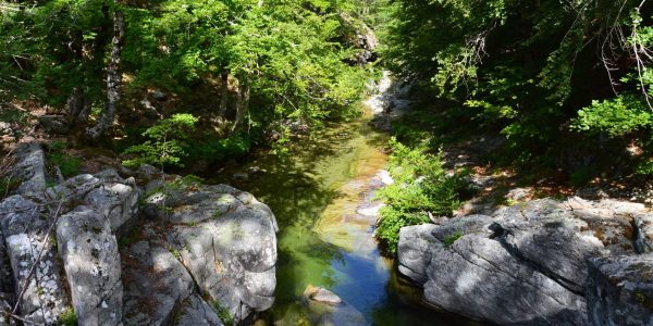 A peaceful river flowing through lush greenery and rocks in Aullène, Corse, France.
