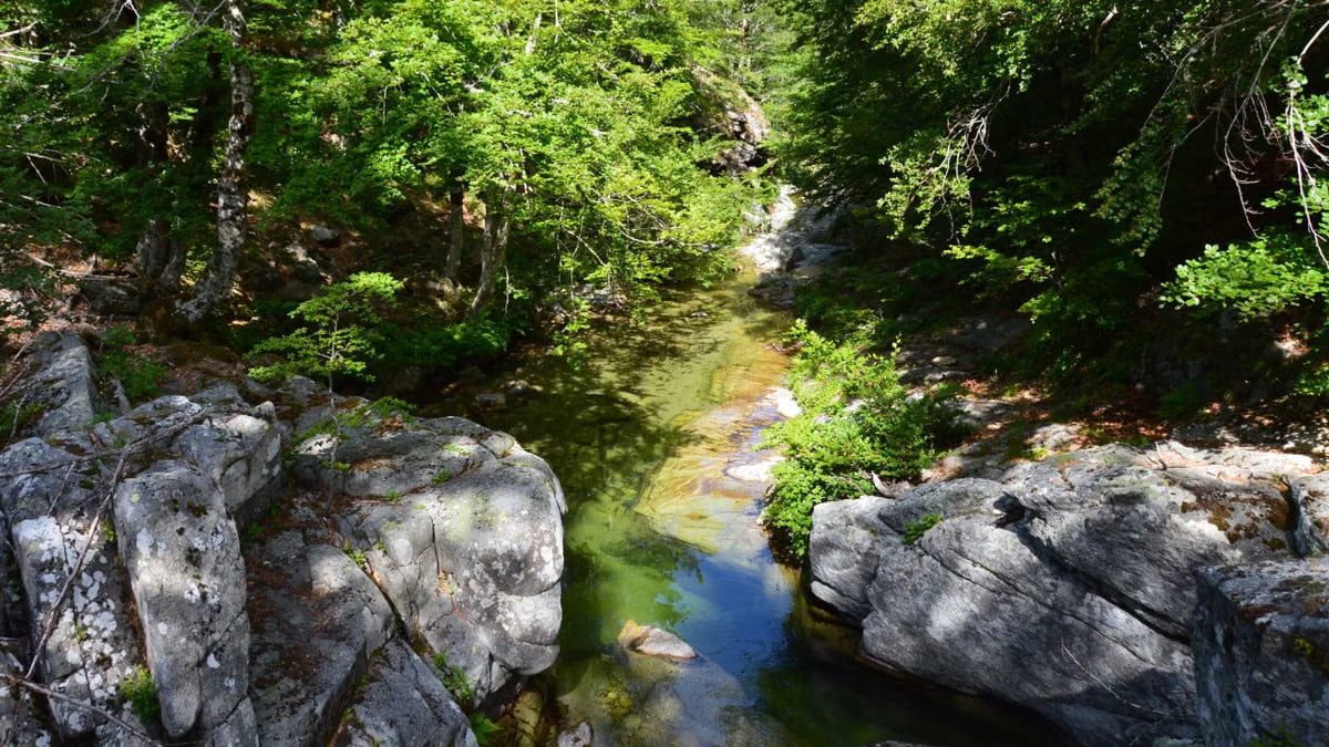 A peaceful river flowing through lush greenery and rocks in Aullène, Corse, France.